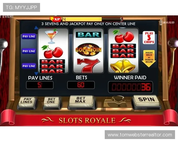 学习老虎机必赢的三个技巧让你在游戏中占据优势提升中奖几率的有效方法